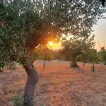 Tatil Evi Trullo Cumma Rosa