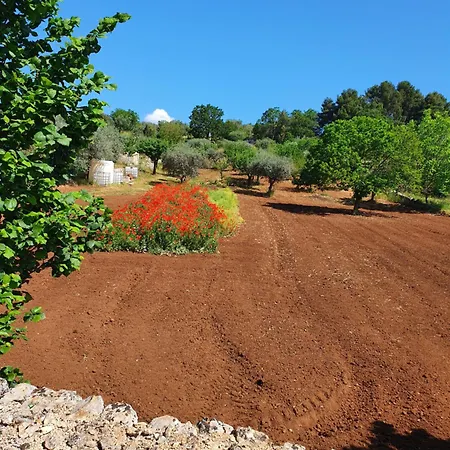 Trullo Cumma Rosa בית נופש אלברובלו
