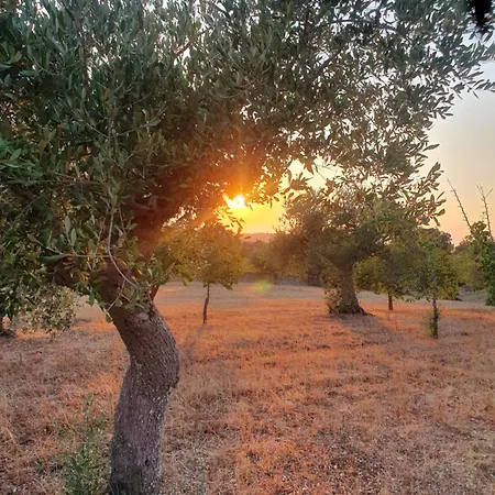 Vakantiehuis Trullo Cumma Rosa